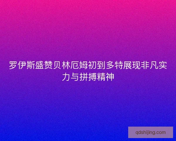 罗伊斯盛赞贝林厄姆初到多特展现非凡实力与拼搏精神