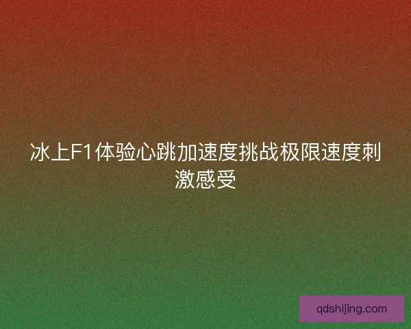 冰上F1体验心跳加速度挑战极限速度刺激感受